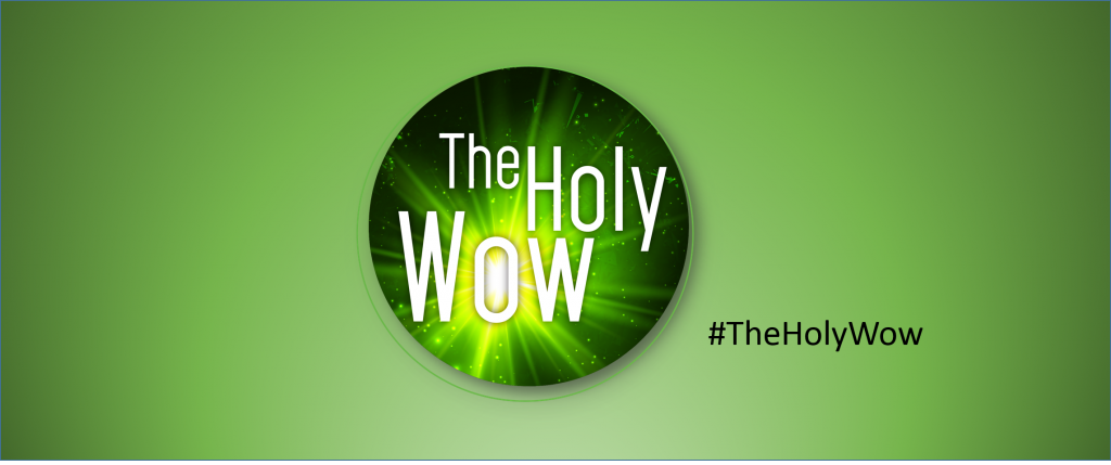 The Holy Wow | InWord Resources